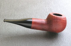 Cape Lark "Red Tiger" — Right