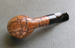 H01 — Bottom
