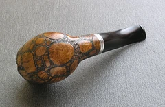 Hodula19 — Bottom