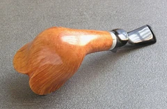 K02 — Bottom