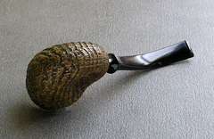 Pupu — Bottom
