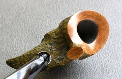 Roseus — Detail